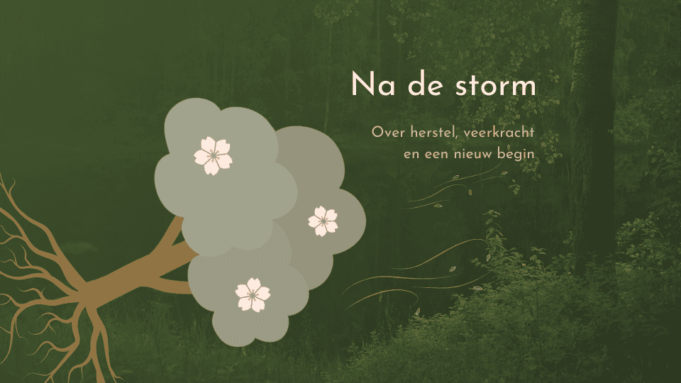 Na de storm